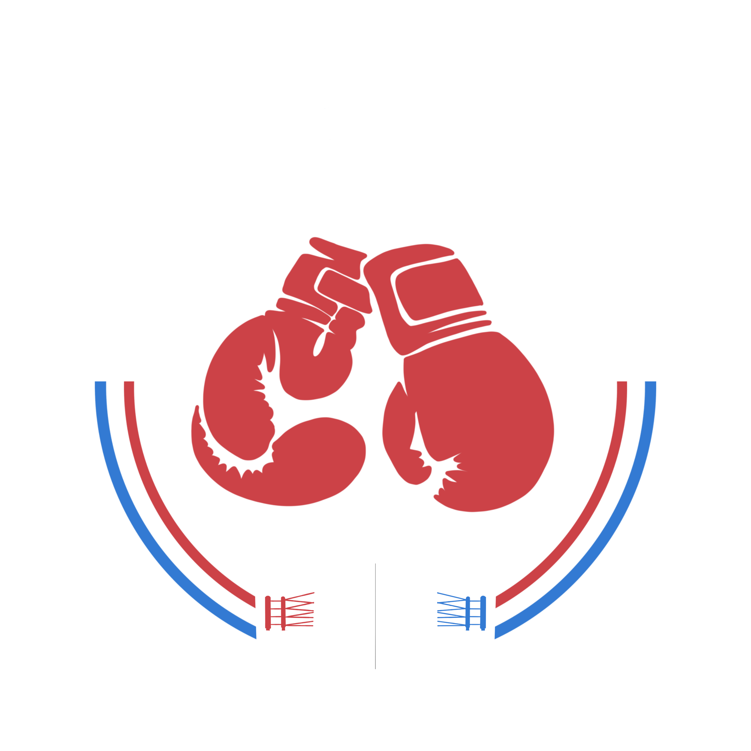 Boxclub Almaz Logo